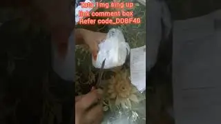₹0 Free Shopping Offer Today | Tata 1Mg Loot Product Unboxing | 1Mg Free Shopping For All@Tata 1mg👈