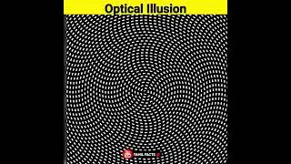 உங்களால கண்டு பிடிக்க முடியுமா? | optical illusion | tamil facts _ infact tamil _ tamilfact #shorts