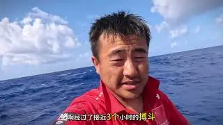 拯救 imoca 60 船帆