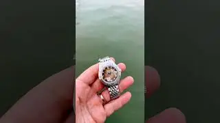 3 🦈🦈🦈 #squale #diver #watch #watches #subscribe #shorts #short #watchcollection #sub