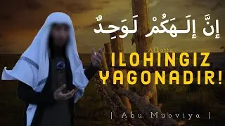 Ilohingiz yagona iloh | Abu muoviya