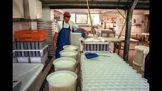The Neal's Yard Creamery Story