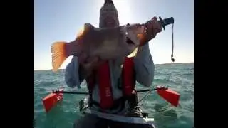 Yakfishoholic- Break Sea Cod 2 rocks Perth WA