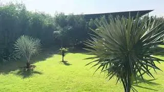 Farm sale in Gurugram | Ansal Aravali Sohna Hill side | Farmhouse sale near Leopard trail Road 