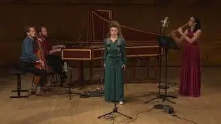 Nari Baroque Ensemble: G.Ph. Telemann - Du bist ein tolles Ungeheuer
