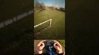 1 Fpv Drone vs the Bird!RAW !!! #shorts
