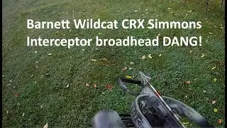 Barnett Wildcat CRX Simmons Interceptor Weighted Insert 500 gr Arrow