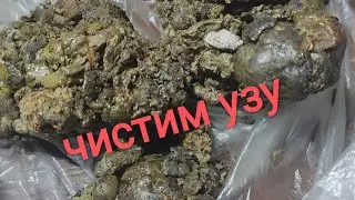 Тепловой метод очистки прополиса.