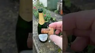 Ricci Curbastro Museum Release Franciacorta 2005 #dcamw #winetasting #masterofwine #winelovers #wine