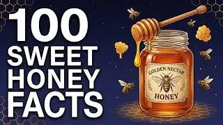 The Sweetest Secrets of Honey To Drift Off To