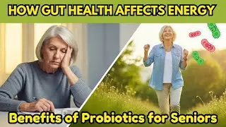 The Power of Probiotics | How Gut Health Impacts Energy Levels in Older Adults | Core Health 365