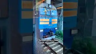 &laquo;Эксклюзив&raquo; 2ТЭ116У-0233. На станции Адлер. 11.09.2025