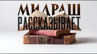 Йосеф обвиняет братьев в шпионаже | Почему он был так суров? Мидраш рассказывает. (Микец часть 6).