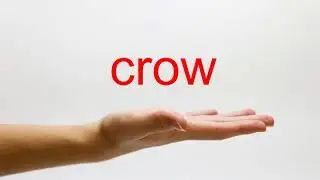 How to Pronounce crow - American English