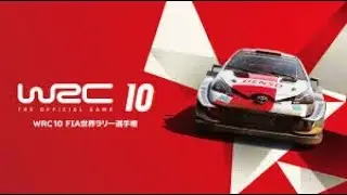 WRC 10 | One Mistake = Stage Ruined 😤