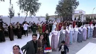 SPERTİ AŞİRETİ SÜPER HALAY TALANE GRUP HOZAN AZAD SİLOPİ
