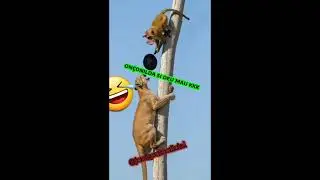 Me ajudem a bater 10mil escrito 