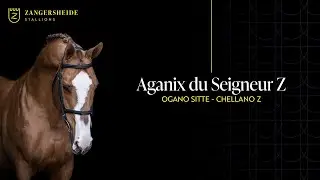 Aganix du Seigneur Z - Hengstpräsentation 2025 GER