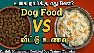 Dog Food Tamil | Kibble vs Homemade South Indian Food for Dogs  தமிழில்&ndash; Pros & Cons Explained