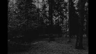 Paul Minesweeper - Bonfire In The Void