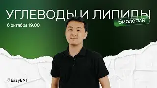 УГЛЕВОДЫ и ЛИПИДЫ. Мини урок по БИОЛОГИИ