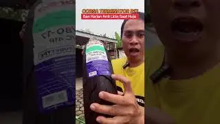 Ban Harian Corsa Terminator ring 17 Anti Licin Saat Hujan