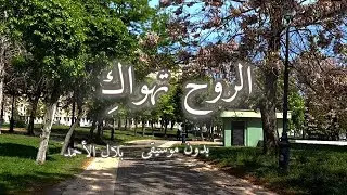 الروح تهواكِ - بدون موسيقى - مع الكلمات - بلال الأحمد