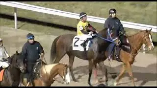 R9 TURFWAY PARK - США - 26 декабря 2025 г.