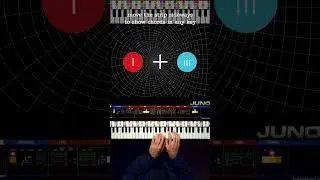 Discovering Chord Functions: A Visual Exploration of Musical Roles!