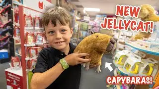 Jellycat Capybara Plush and Jellycat Books - New Jellycats Are Here!