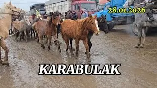 ҚАРАБҰЛАҚ МАЛ БАЗАРЫ | ЖЫЛҚЫ БАҒАСЫ | 28.01.2026 