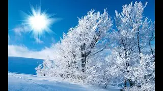Born Innocent - Spiritual Evolution: Love the meaning of life