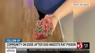 St. Albans dog owners on edge after suspected intentional poisoning