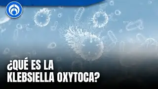 Alerta sanitaria: 12 menores fallecen por bacteria mortal