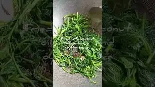 Cooking Stir fried Sweet potato leaves in garlic and oyster sauce