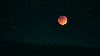 KOSIKK - Inter Stellar