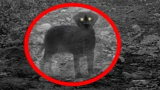 10 Most MYSTERIOUS Photos Ever Taken