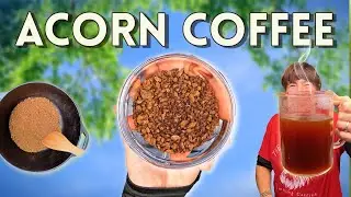 Я превратил желуди в кофе (и это очень вкусно)
