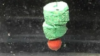 The Inline Bait Bomb... Gone in 40 seconds!