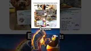 ID cards for pets 🤯