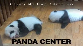 Panda Center