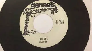 Ohio 1960's garage rock band 