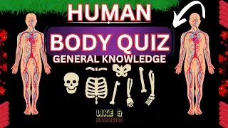 Human Body General Knowledge Quiz facts about Human Body |Quizlape|