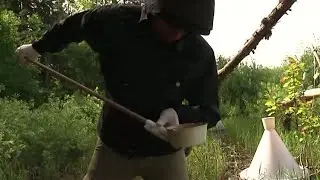 Varning f&ouml;r mygg i sommar - Nyheterna (TV4)