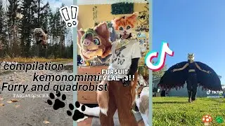 TikTok Kemonomimi, Furry and Quadrobics // Compilation // 🪲🍄🕯️