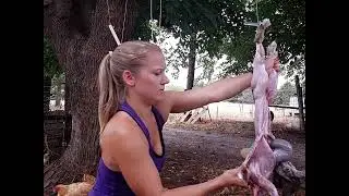 Rabbit Processing: (2nd) Cracking pelvis to clean poop chute.