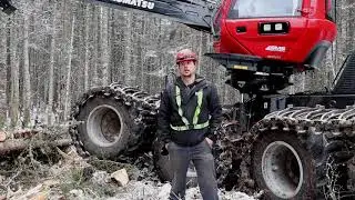 Abattage et fa&ccedil;onnage des bois