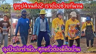 ส่งตรงจากโรงงานถึงโกดังแล้ว#ลุงป้าปลาร้านัว สว.รวมพลัง..ขนส่งช่วยขนเต็มที่