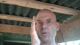 siffler le pluvier