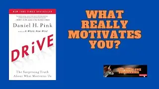 Autonomy, Mastery, Purpose: The New Rules of Success/ Drive by Daniel Pink / Book Summary